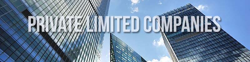 CA Ghanshyam Suresh Gupta & Associates: Private-limited-companies 