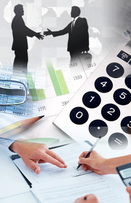 Taxation advisory services and taxation representation services